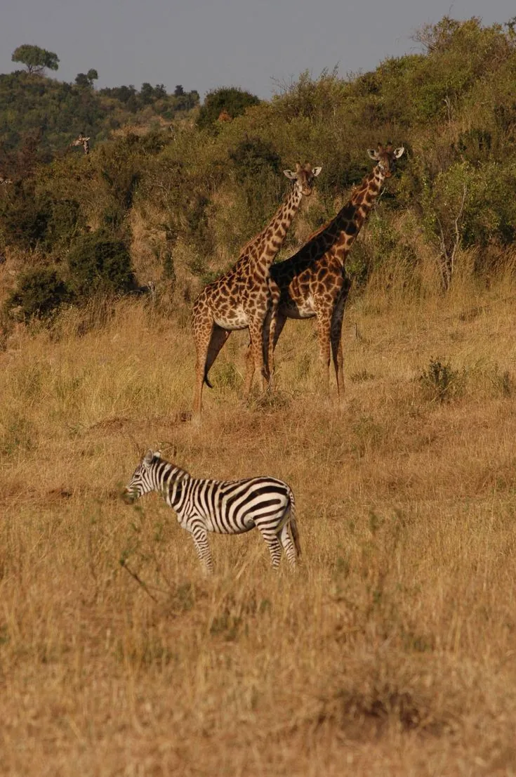 Arusha