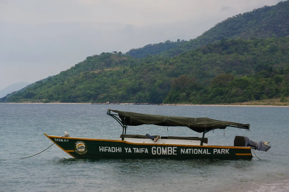 Boat Journey to Gombe