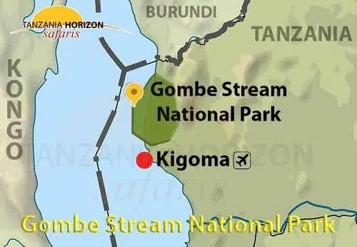Steep forested hills of Gombe Stream National Park