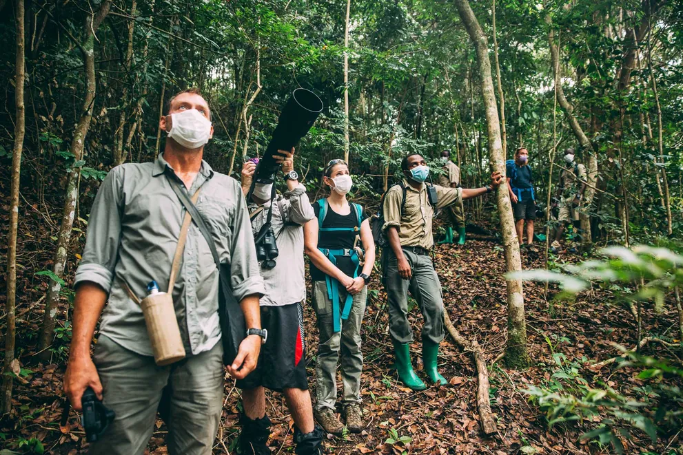 Mahale Rainforest Hike