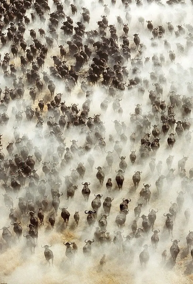 Great Migration