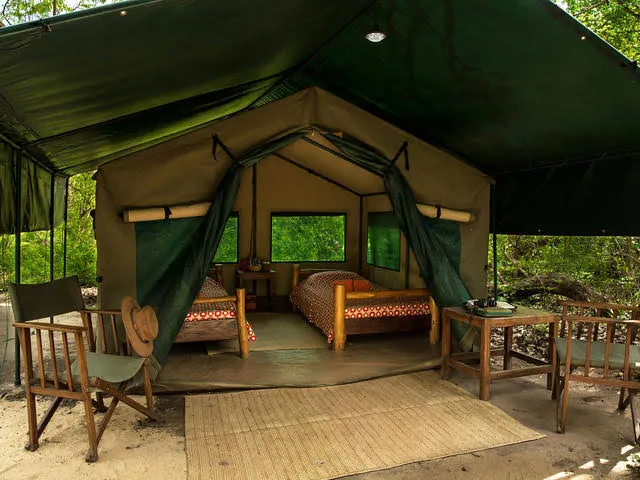 Selous Impala Camp