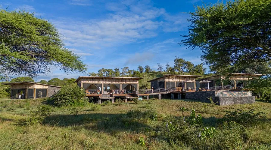 Nomad Lamai Serengeti